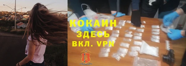 метадон Алексин