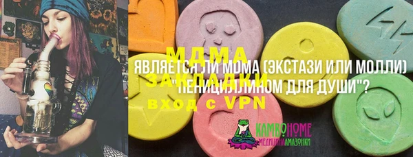 прущие грибы Алзамай