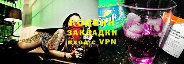прущие грибы Алзамай