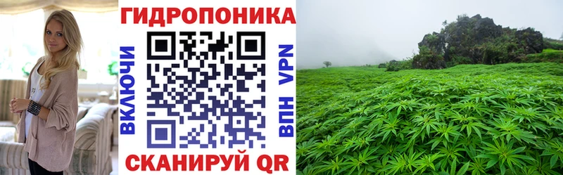 наркошоп  Берёзовка  Канабис Ganja 